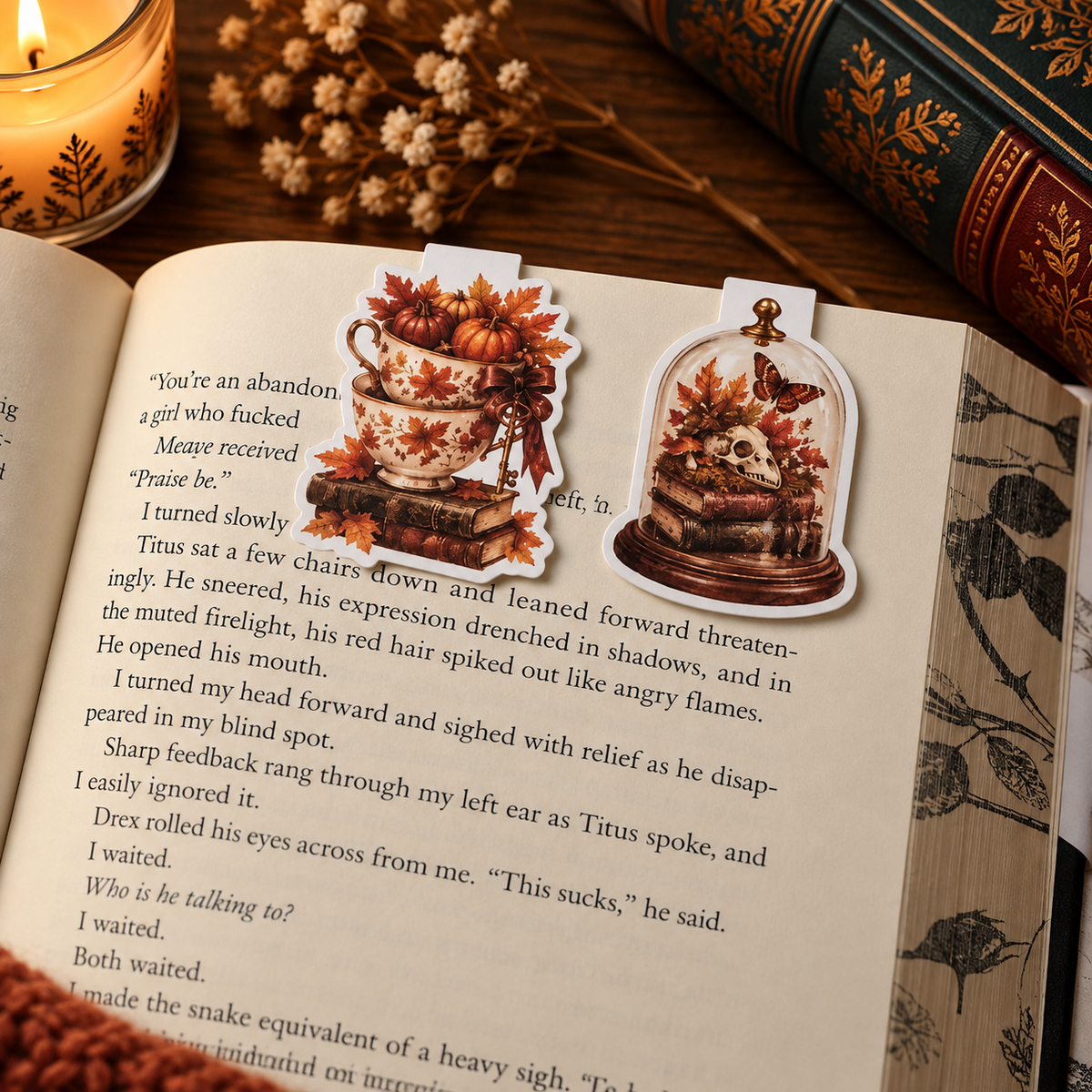 Magnetic Bookmark - Set van 2 - Verschillende Designs
